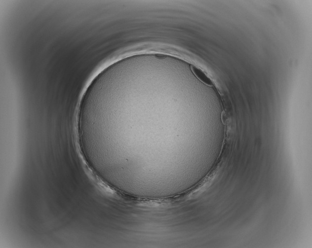 X0000115121530200911241337
