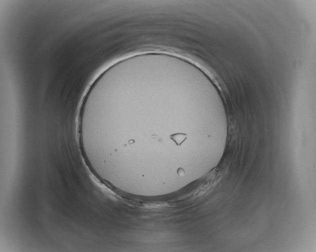 X0000115121535200911241337
