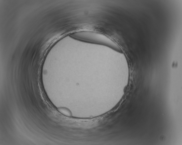 X0000115120001200912081355