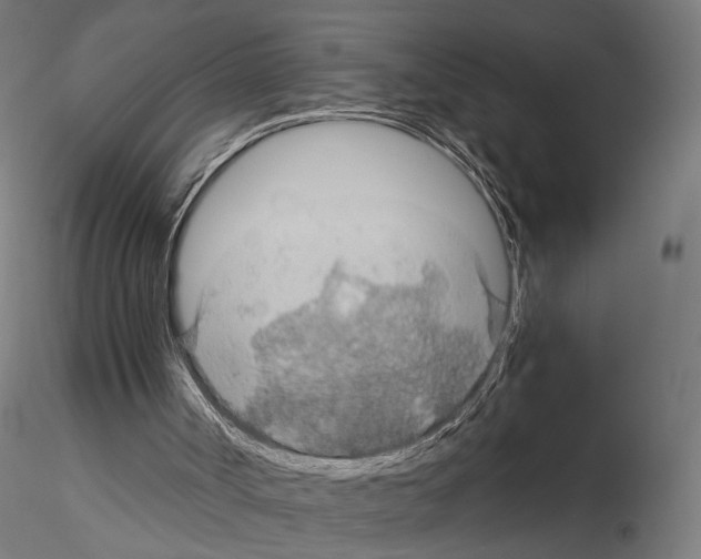 X0000115120002200912081355