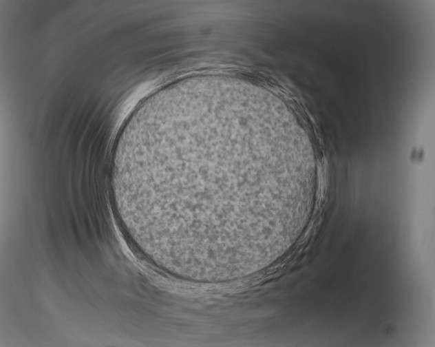 X0000115120003200912081355