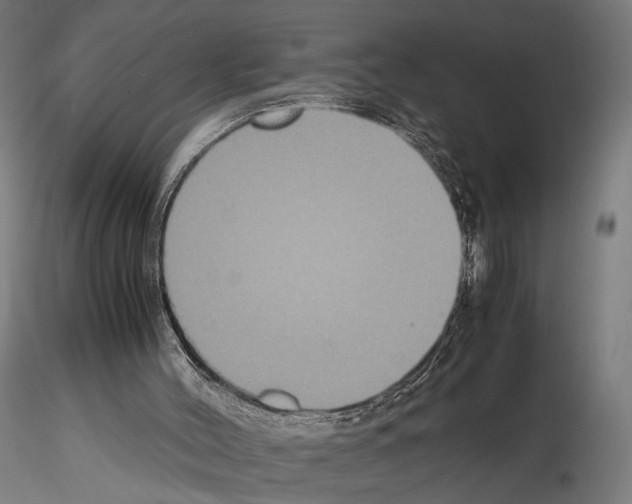 X0000115120004200912081355