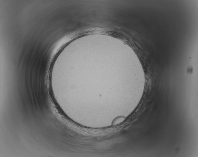 X0000115120006200912081355