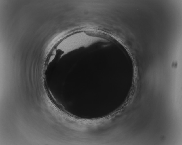 X0000115120007200912081355