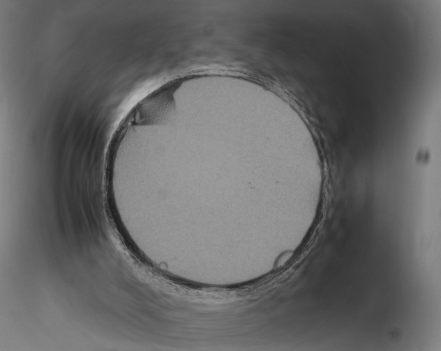 X0000115120008200912081355