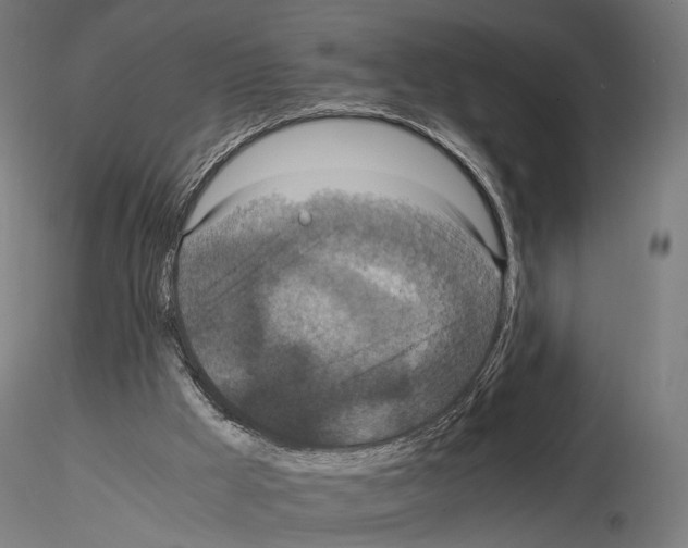 X0000115120009200912081355