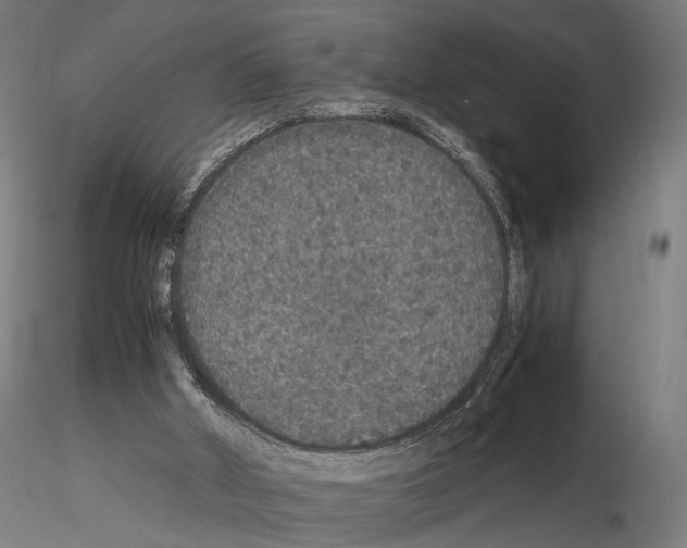 X0000115120010200912081355