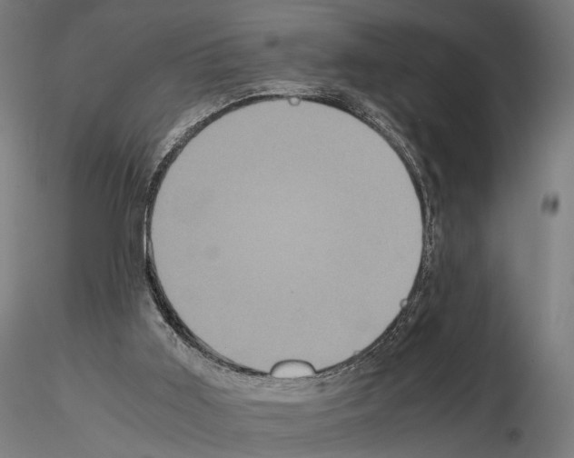 X0000115120011200912081355