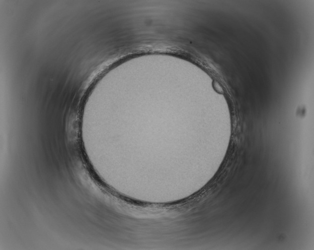 X0000115120012200912081355