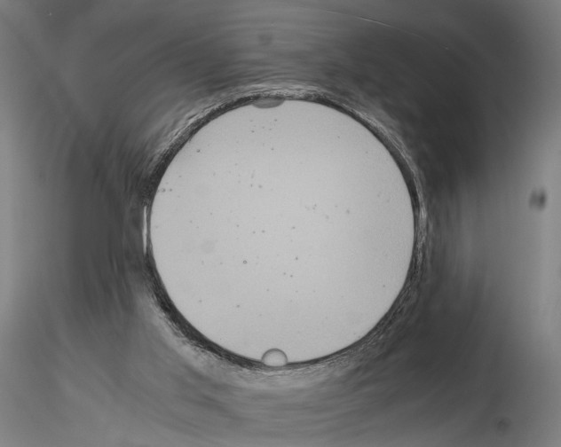 X0000115120013200912081355