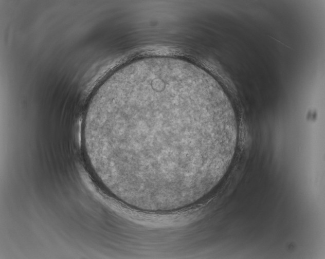 X0000115120014200912081355