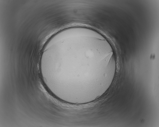 X0000115120015200912081355