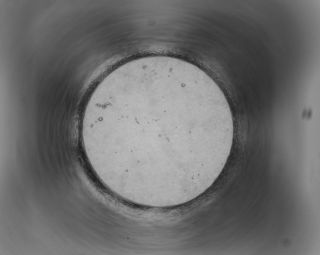 X0000115120016200912081355