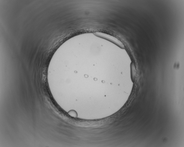 X0000115120017200912081355