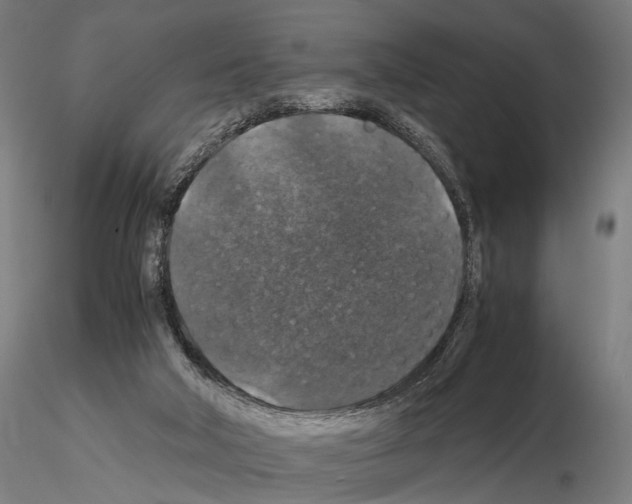 X0000115120018200912081355