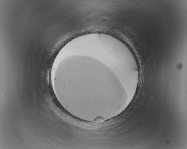 X0000115120019200912081355