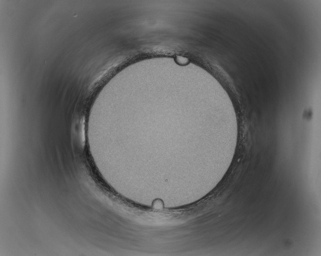 X0000115120020200912081355