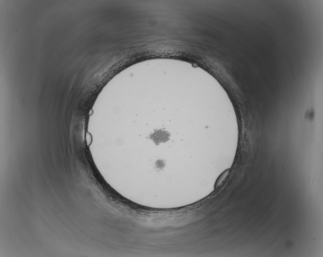 X0000115120021200912081355