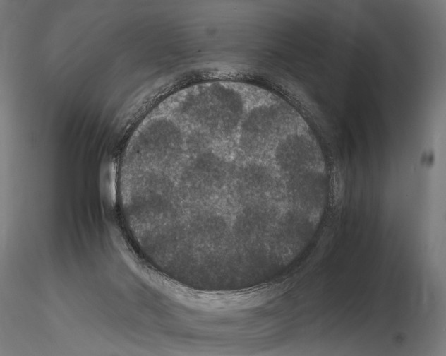 X0000115120022200912081354