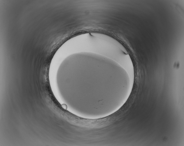 X0000115120023200912081354