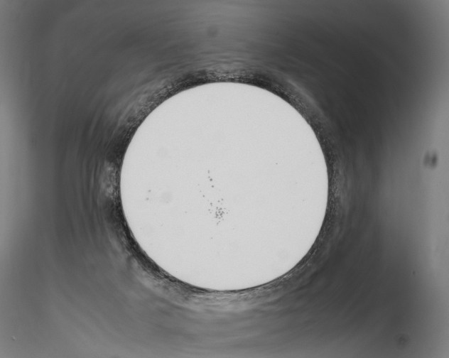 X0000115120025200912081354