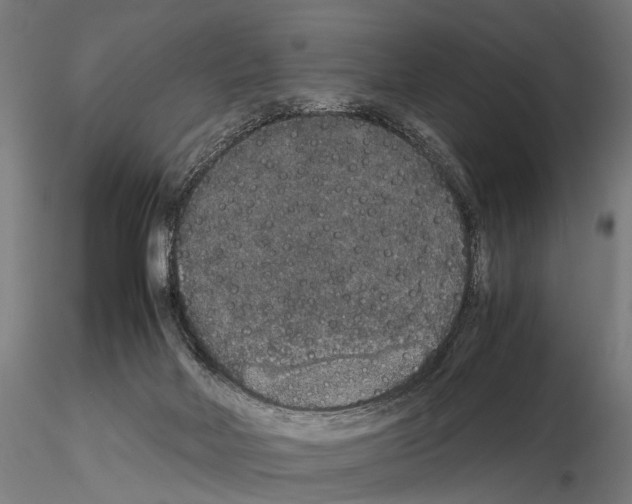 X0000115120026200912081354