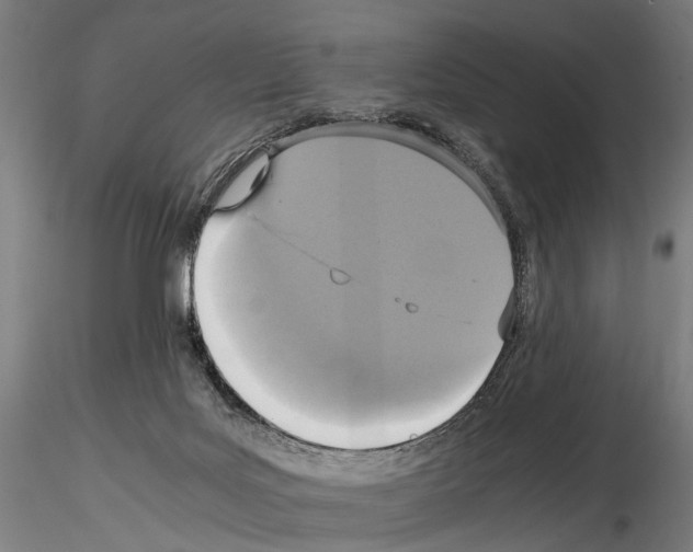 X0000115120027200912081354