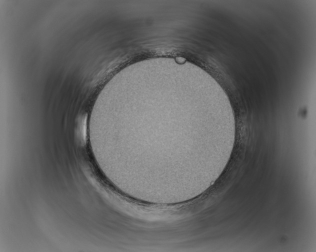 X0000115120028200912081354