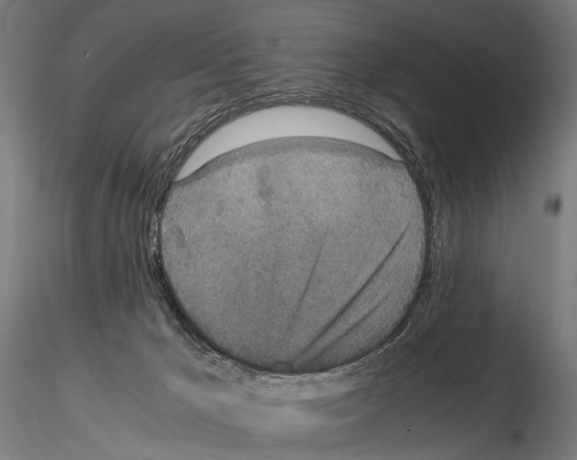 X0000115120029200912081354