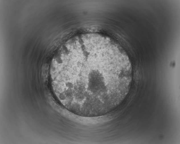 X0000115120030200912081354