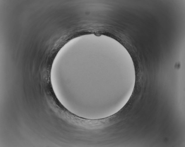 X0000115120031200912081354