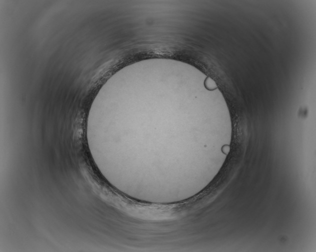 X0000115120032200912081354