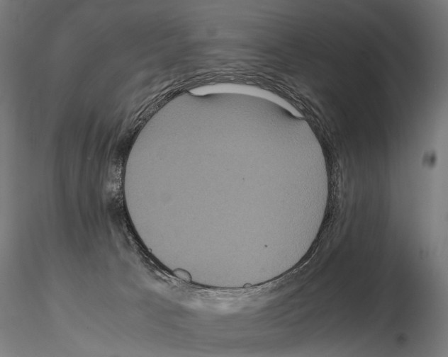 X0000115120033200912081354