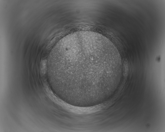 X0000115120034200912081354