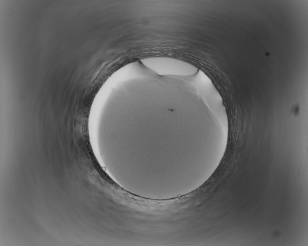 X0000115120035200912081354