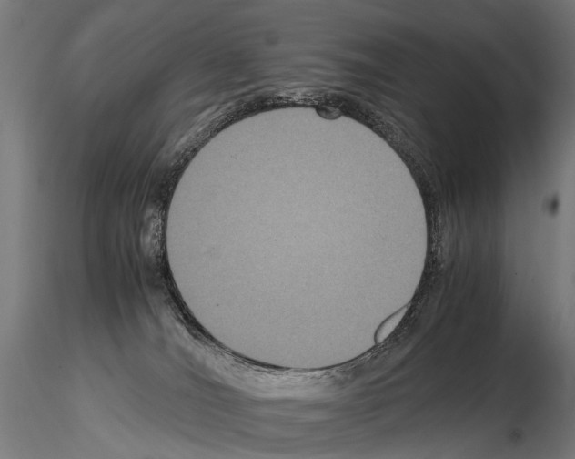 X0000115120036200912081354