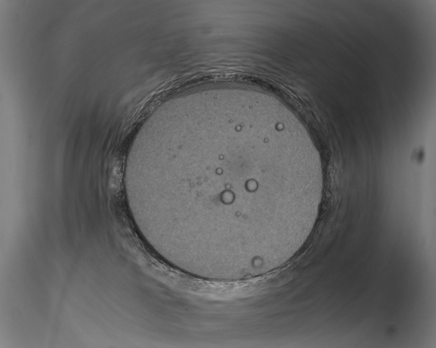 X0000115120037200912081354