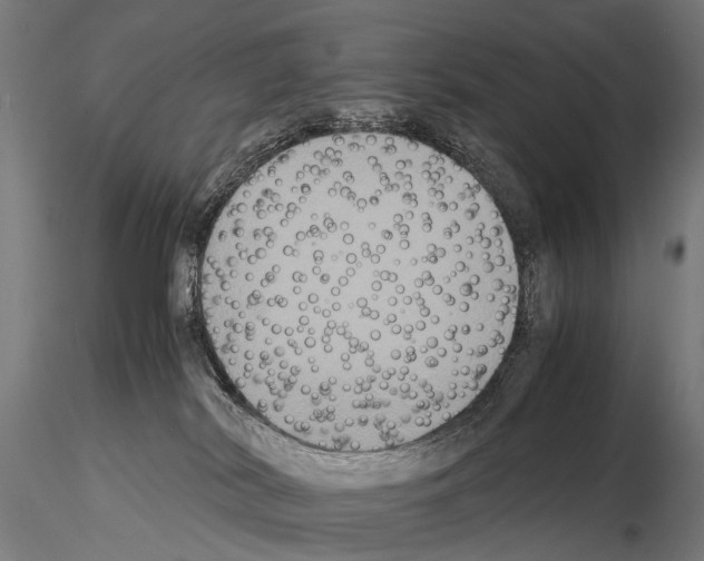 X0000115120038200912081354