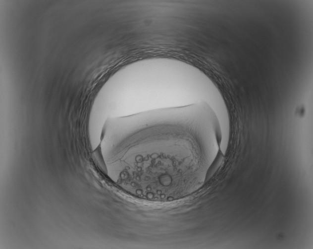 X0000115120039200912081354