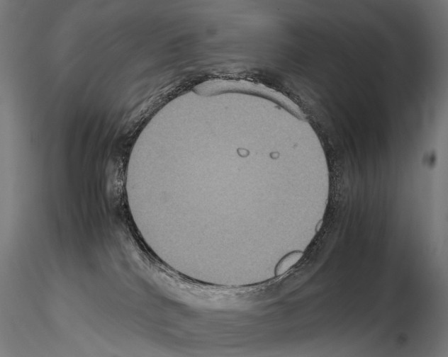 X0000115120040200912081354