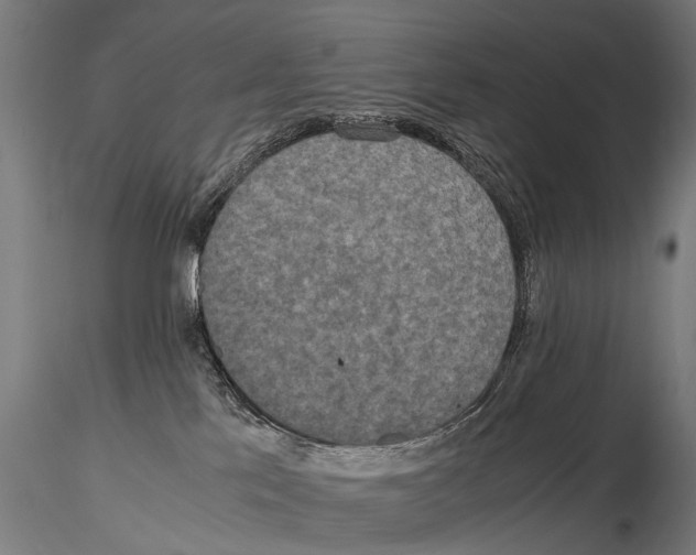 X0000115120041200912081354