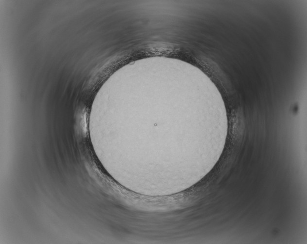 X0000115120042200912081354