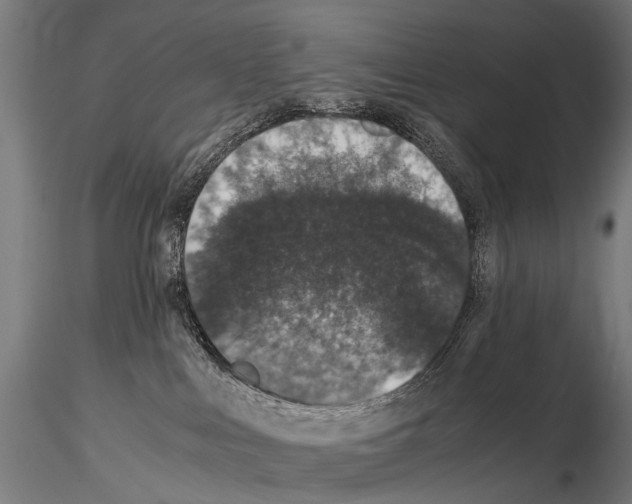 X0000115120043200912081354