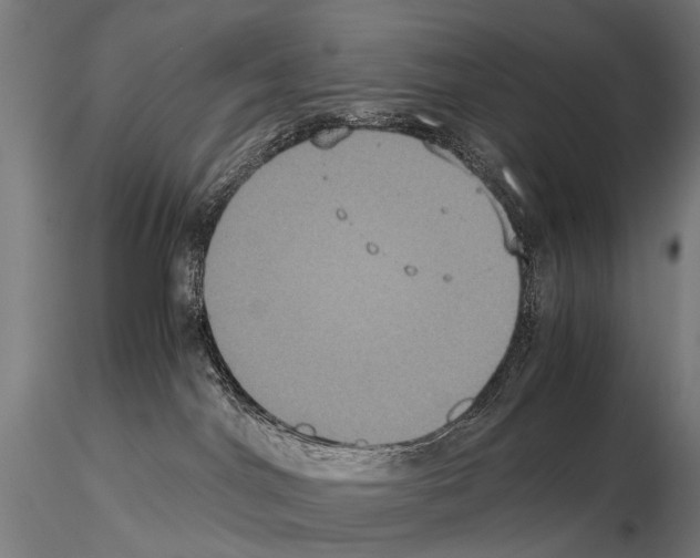 X0000115120044200912081354