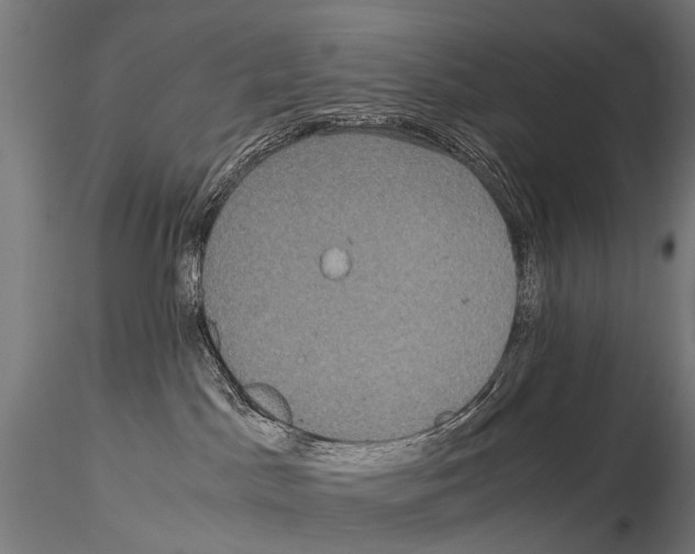 X0000115120045200912081354