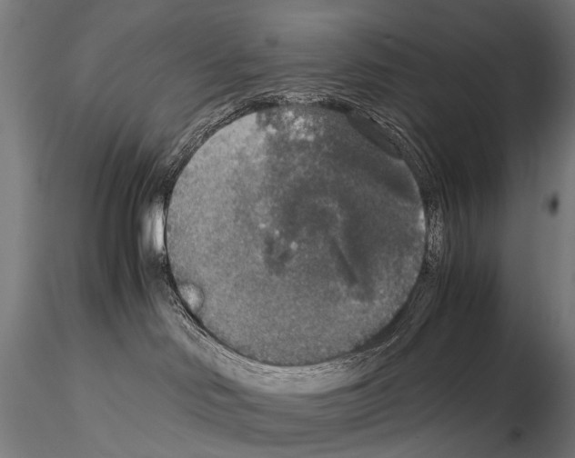 X0000115120046200912081354