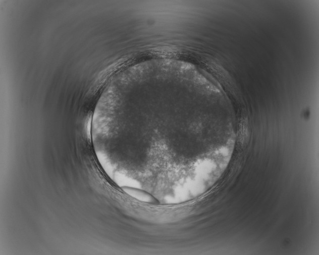 X0000115120047200912081354