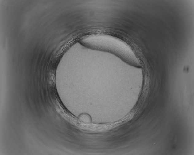 X0000115120048200912081354