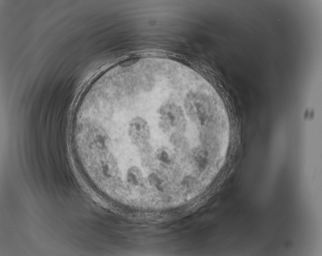 X0000115120049200912081353