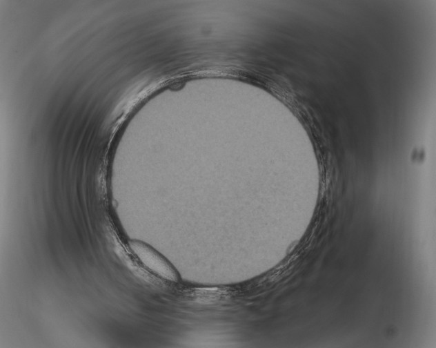 X0000115120050200912081353